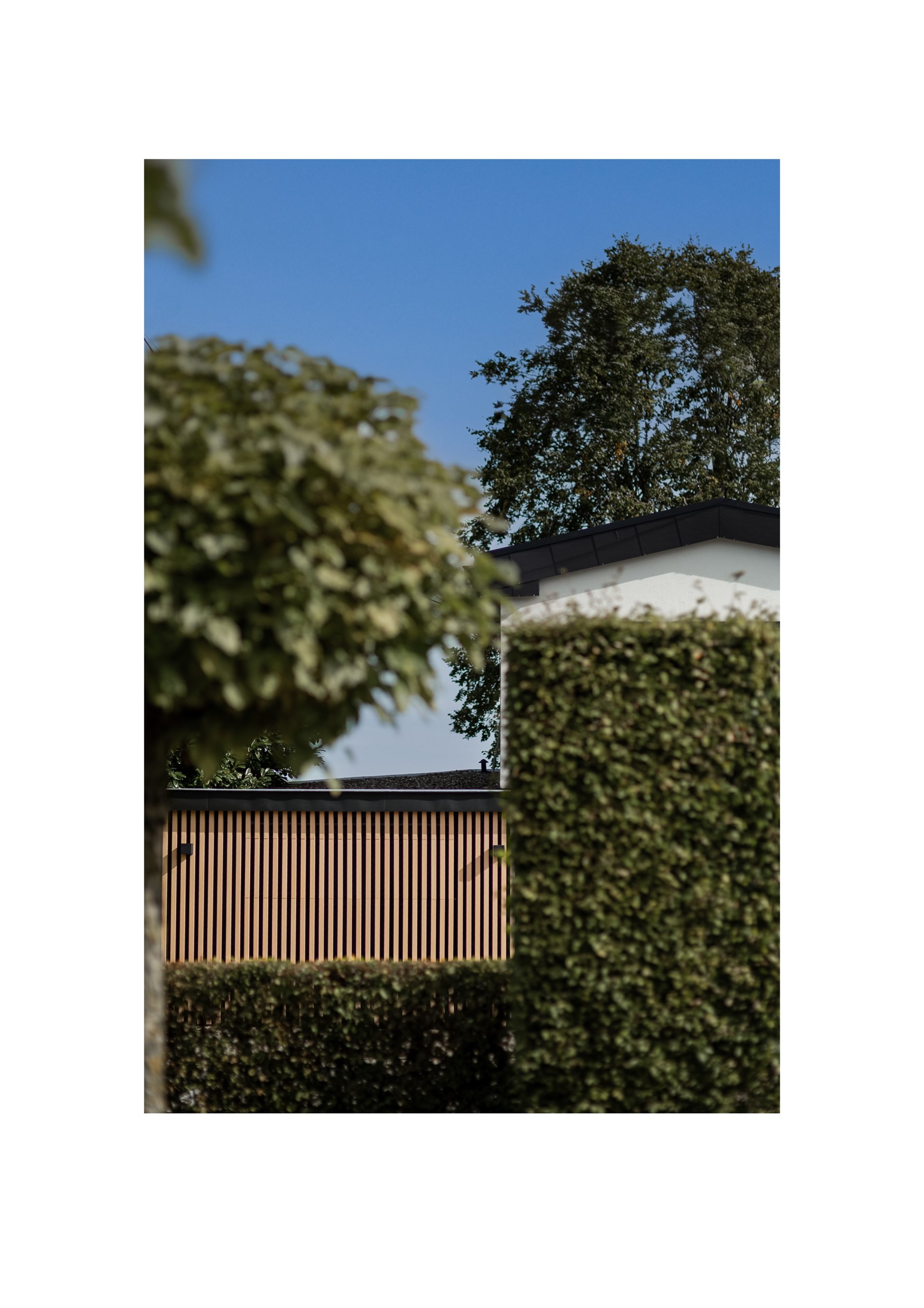 Bewood _ Bolland-11