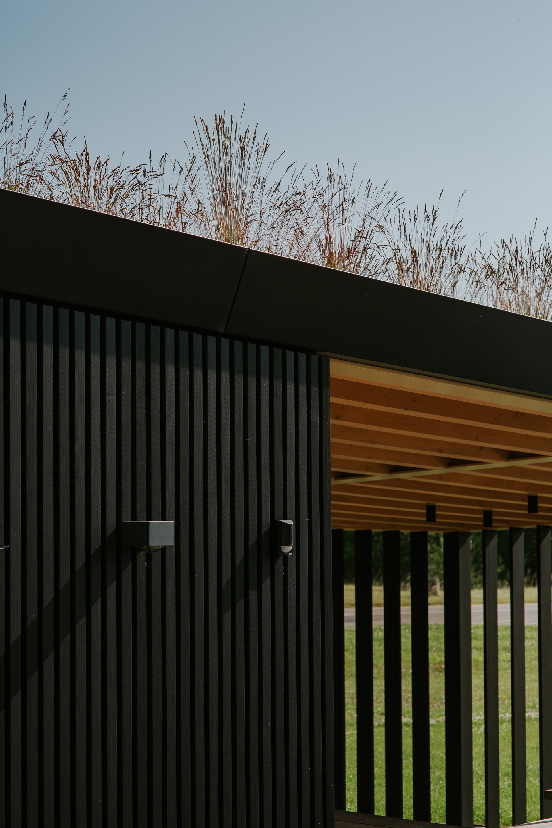 Bewood25-Karl Hugo HD-52