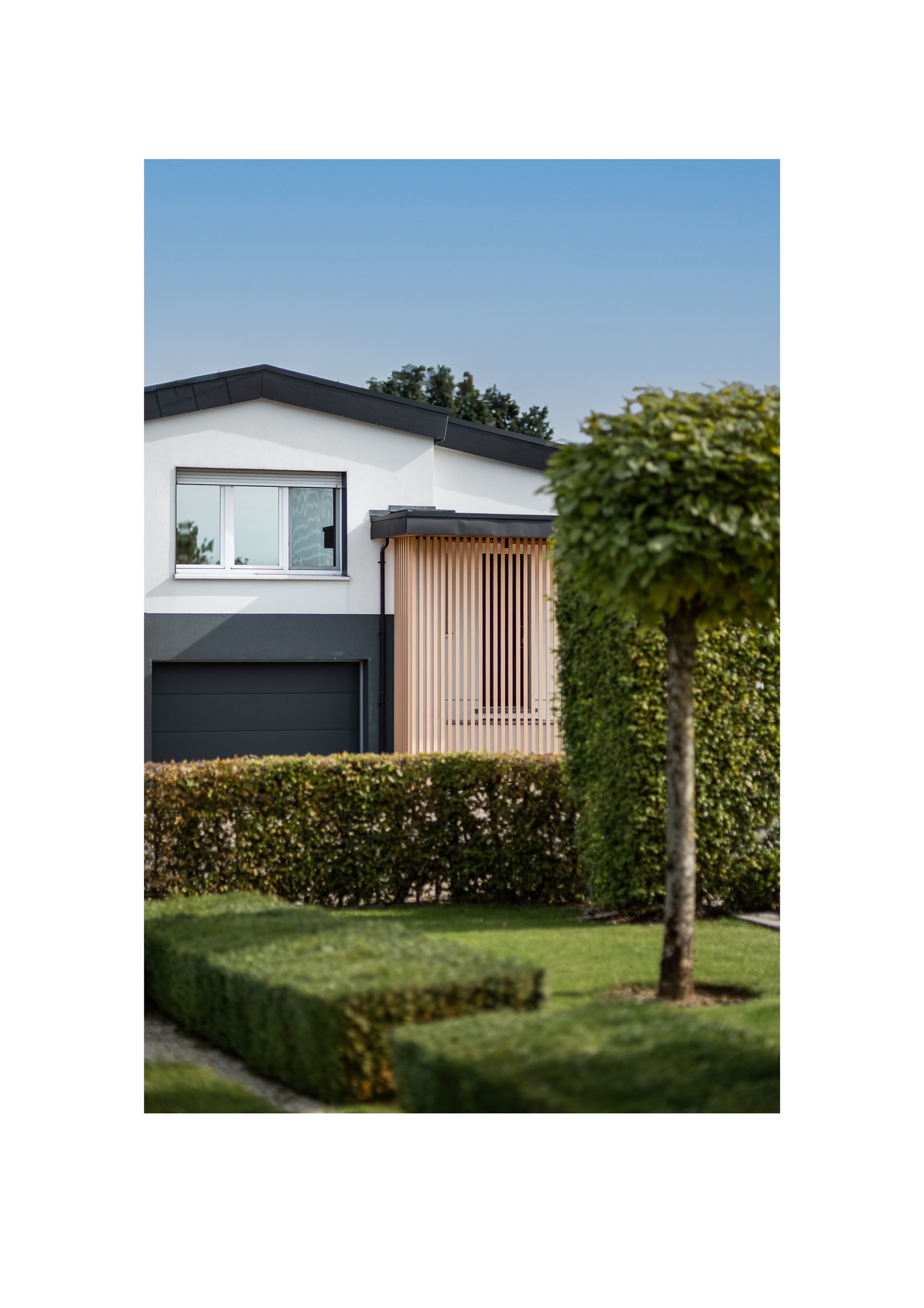 Bewood _ Bolland-03