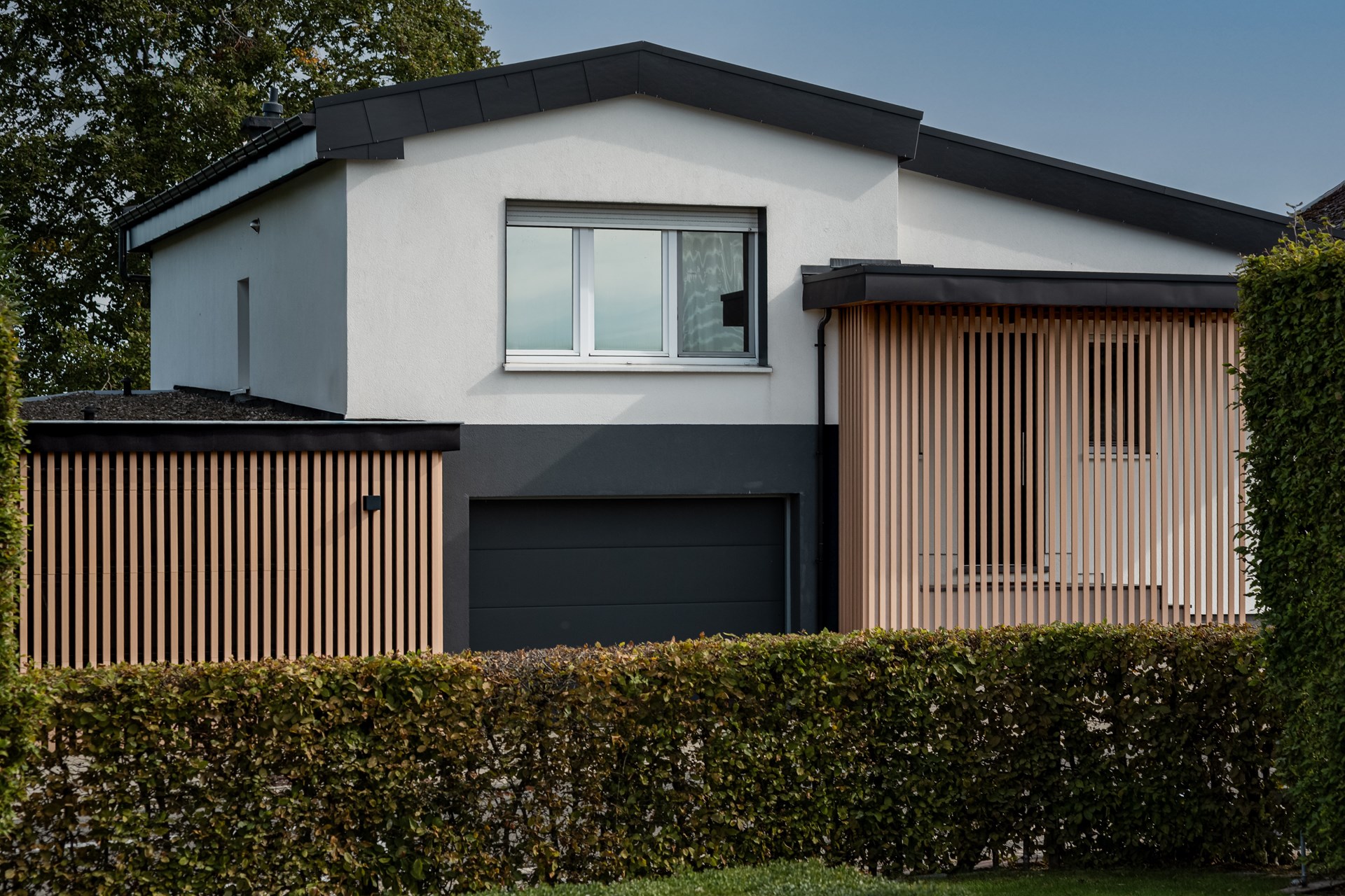 Bewood - Bolland - HD-10
