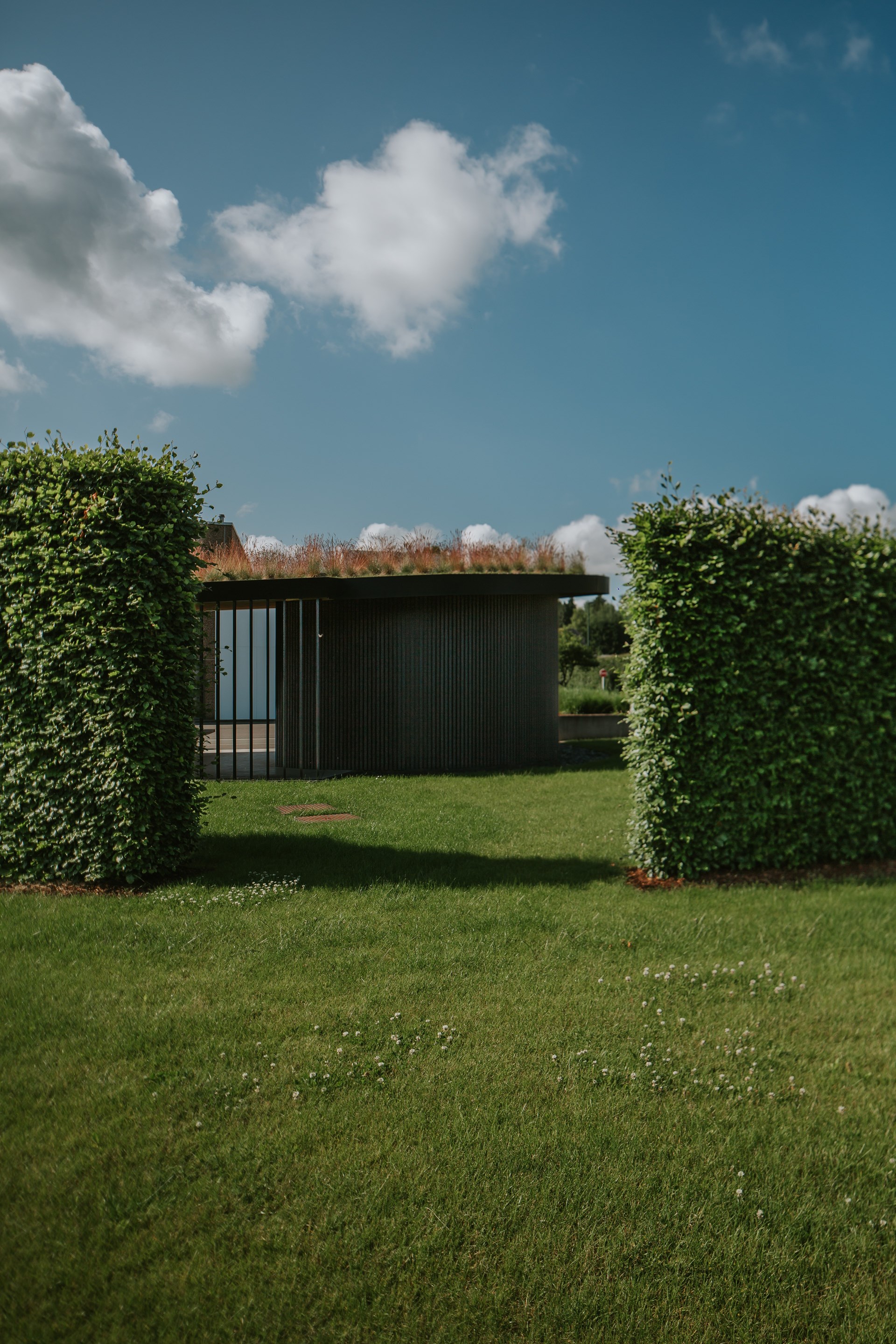 Bewood25-Karl Hugo HD-56